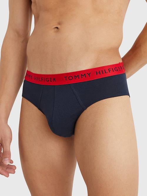 Tommy Hilfiger 3-Pack Logo Waistband Briefs Moški Spodnje Perilo Vijolična | TH835YVC