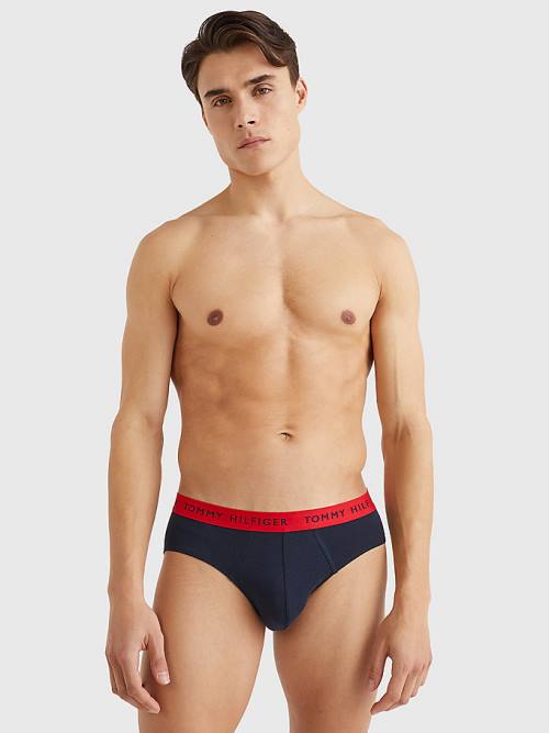 Tommy Hilfiger 3-Pack Logo Waistband Briefs Moški Spodnje Perilo Vijolična | TH835YVC