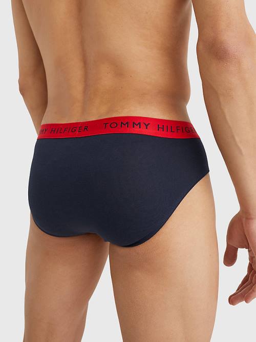 Tommy Hilfiger 3-Pack Logo Waistband Briefs Moški Spodnje Perilo Vijolična | TH835YVC