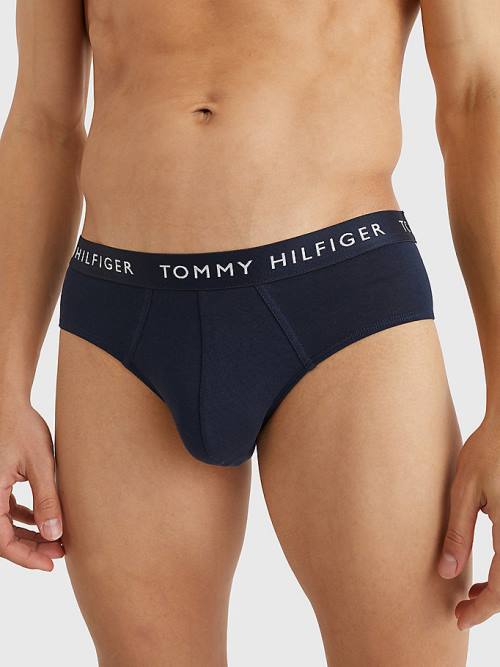 Tommy Hilfiger 3-Pack Logo Waistband Briefs Moški Spodnje Perilo Vijolična | TH835YVC