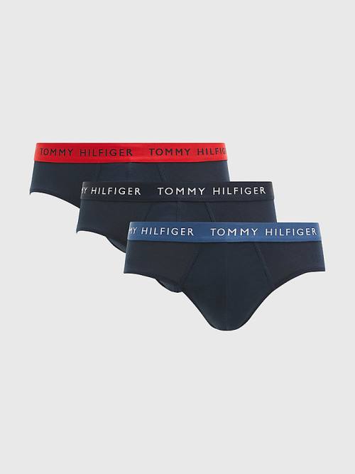 Tommy Hilfiger 3-Pack Logo Waistband Briefs Moški Spodnje Perilo Vijolična | TH835YVC