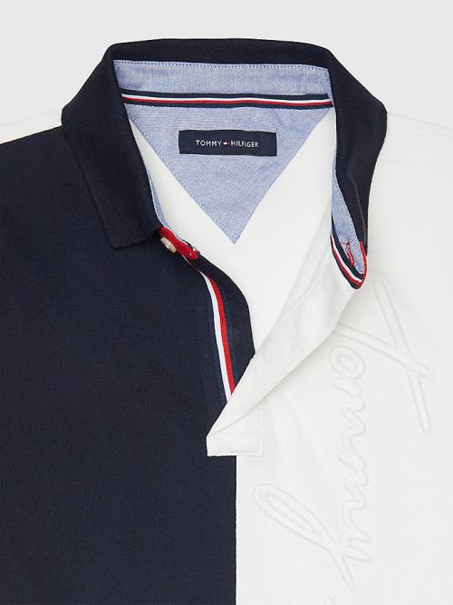 Tommy Hilfiger Adaptive Colour-Blocked Slim Fit Moški Polo Majica Multi | TH978CFJ