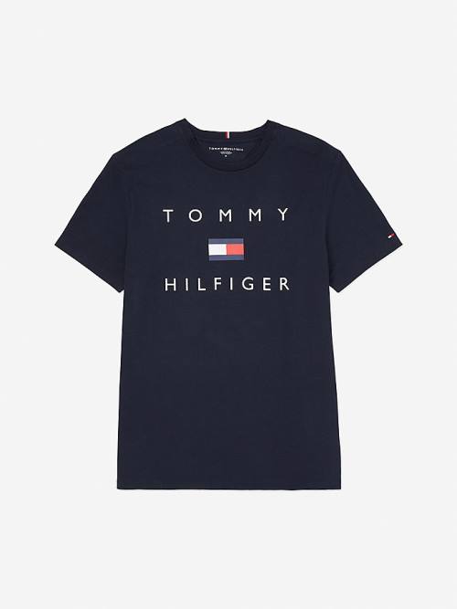 Tommy Hilfiger Adaptive Pure Cotton Logo Moški Majice Modra | TH527QJT