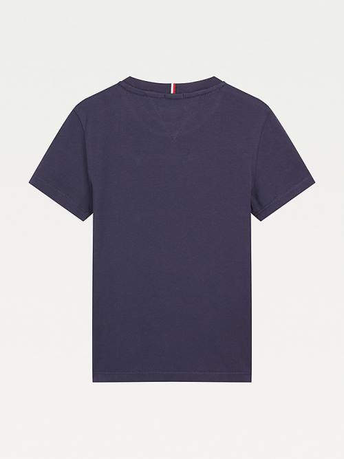 Tommy Hilfiger Essential Colour-Blocked Organic Cotton Fantje Majice Siva | TH840LTB