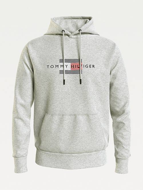 Tommy Hilfiger Front Logo Organic Cotton Fleece Moški Pulover s kapuco Siva | TH051LQA