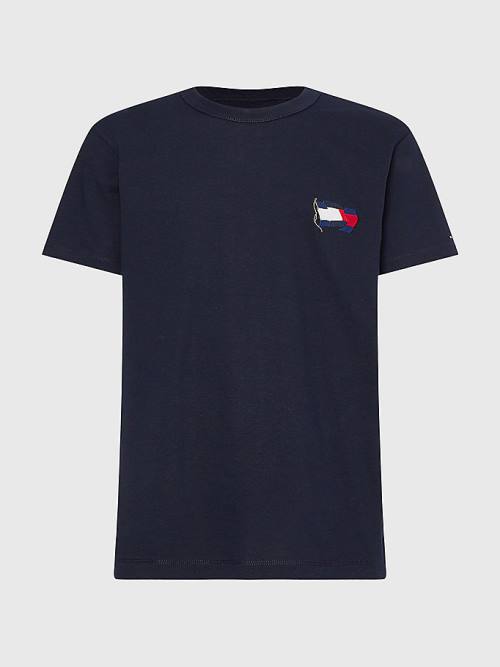 Tommy Hilfiger Motion Flag Embroidery Moški Majice Modra | TH918VQI