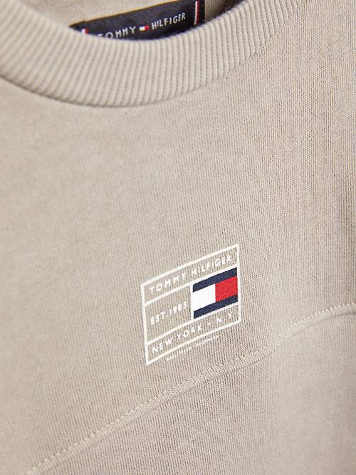 Tommy Hilfiger Natural Earth Dye Fantje Pulover Siva | TH290FRK