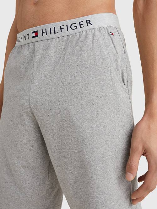 Tommy Hilfiger Original Jersey Logo Shorts Moški Pižama Siva | TH697PUM