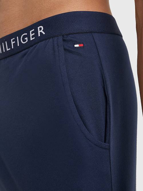 Tommy Hilfiger Original Jersey Logo Shorts Moški Pižama Modra | TH967UPJ