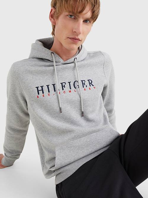 Tommy Hilfiger Signature Flex Fleece Logo Moški Pulover s kapuco Siva | TH876KOF