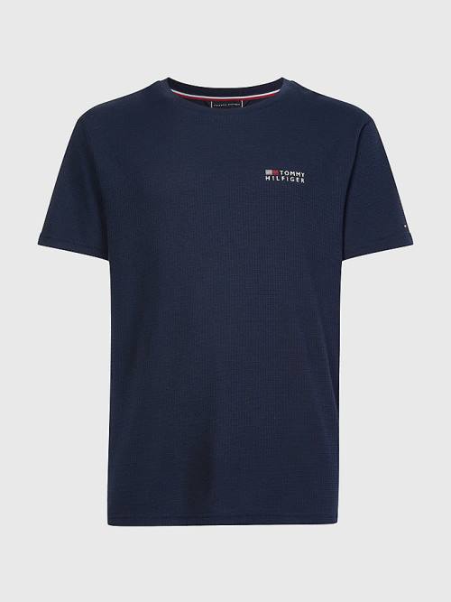 Tommy Hilfiger TH Stretch Logo Moški Pižama Modra | TH371TDQ