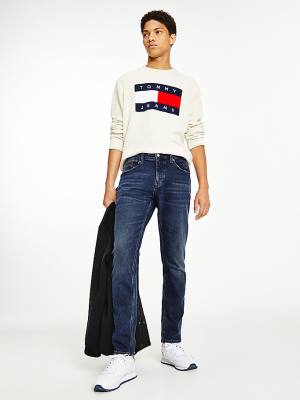 Tommy Hilfiger Austin Slim Tapered Moški Kavbojke Denim | TH946TXN