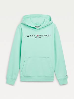 Tommy Hilfiger Essential Logo Fantje Pulover s kapuco Zelena | TH072KQJ