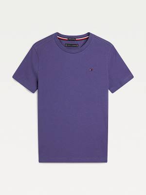 Tommy Hilfiger Essential Organic Cotton Fantje Majice Modra | TH350STI