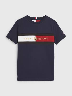 Tommy Hilfiger Icons Organic Cotton Logo Fantje Majice Modra | TH968RFH