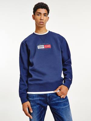 Tommy Hilfiger Logo Crew Neck Moški Pulover Modra | TH950GON